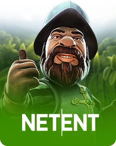 Netent Slot Game